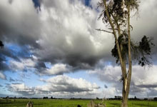 开云体育平台APP-狂轰122分碾碎魔术！篮网团队风暴点燃季后赛引擎