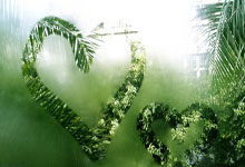 开云平台-柏林铁壁之下：霍芬海姆的破局野心