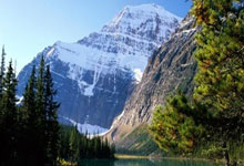 开云体育官方网站-绿茵场上的永恒星辰：C罗如何用双脚改写足球叙事