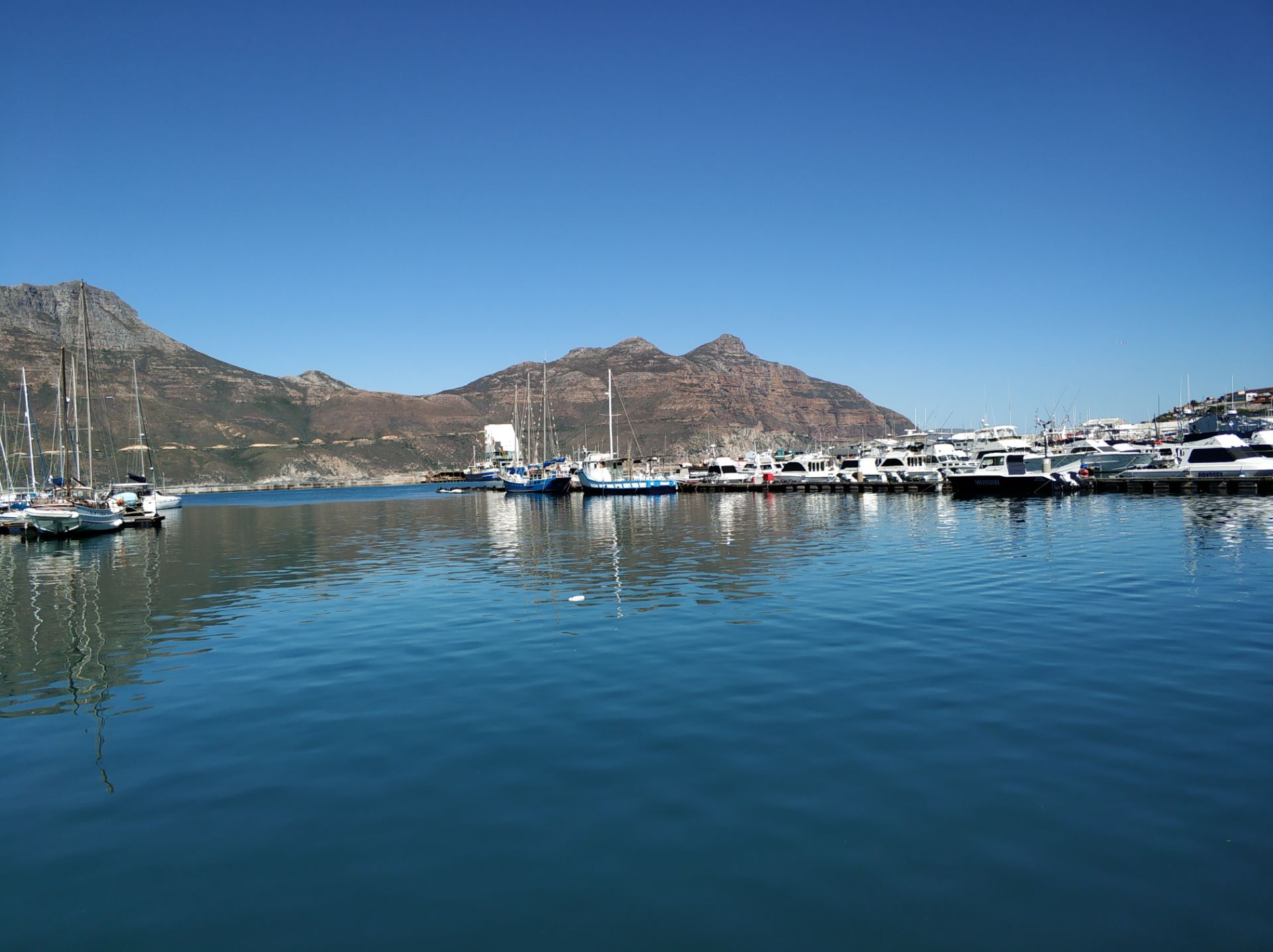 包含非洲联赛：开普敦海浪大胜尼日利亚狂热的词条