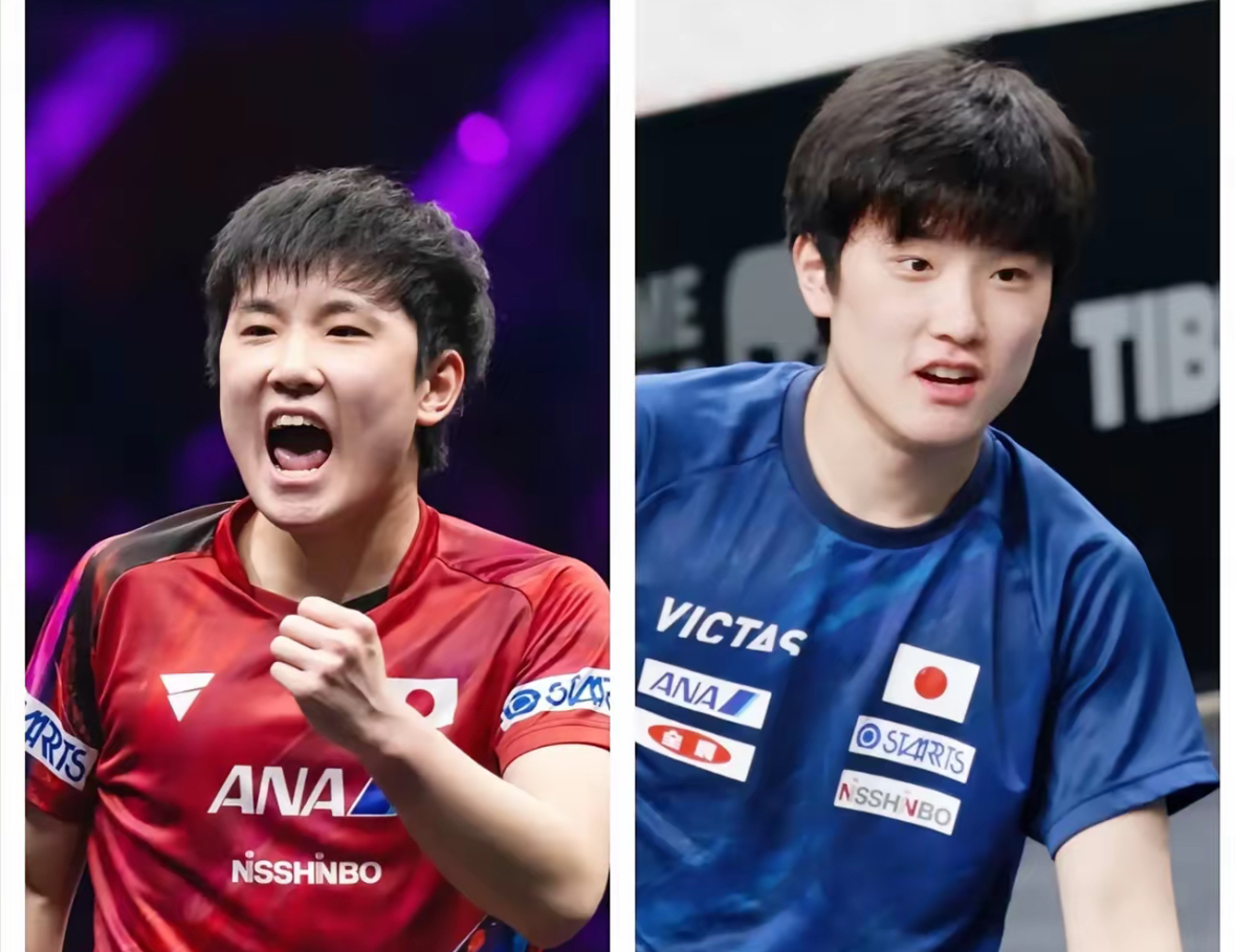 开云官网-法国队逆转波兰队，张本智和关键制胜