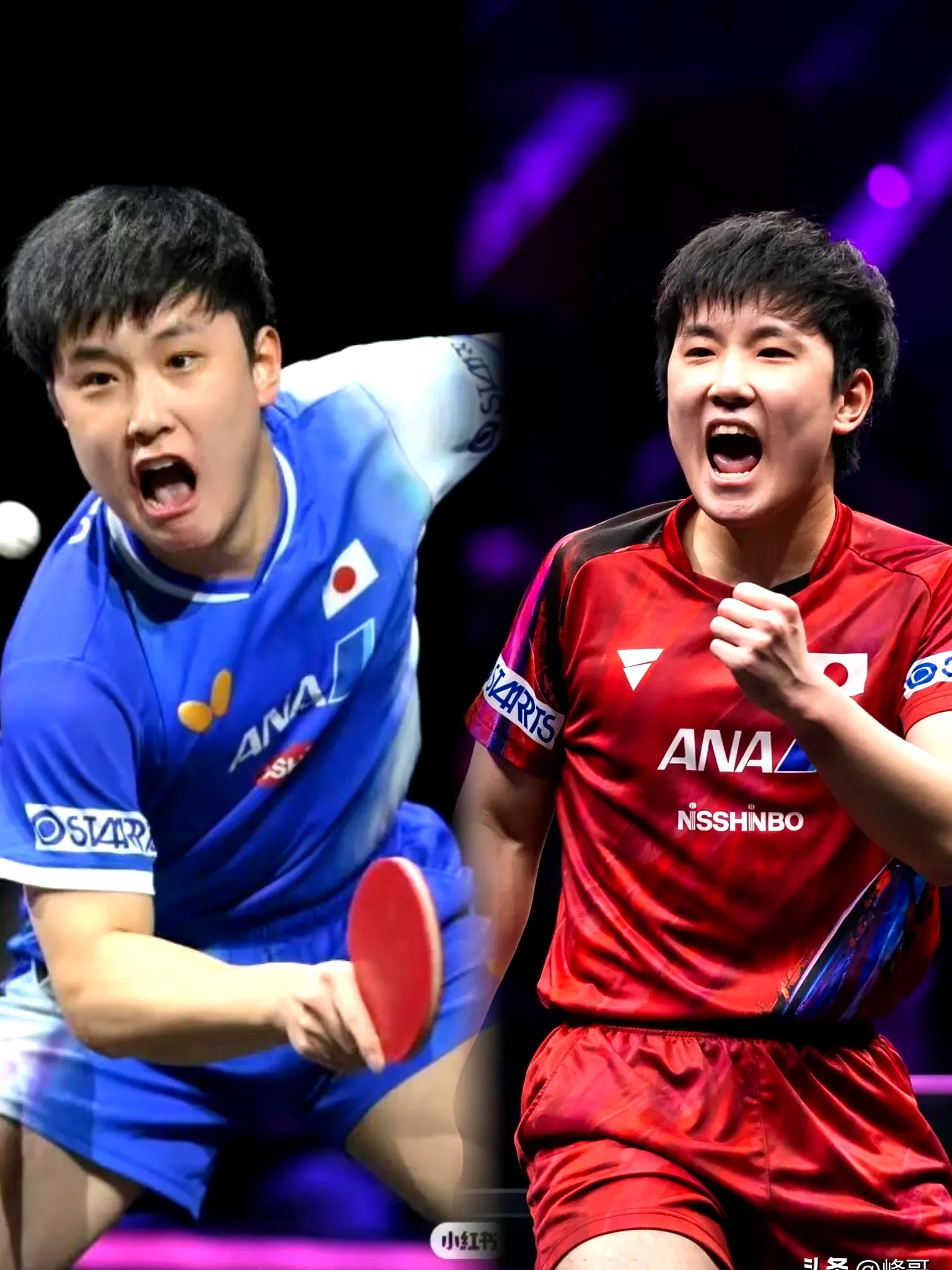 日本队鏖战葡萄牙队，张本智和带队取胜