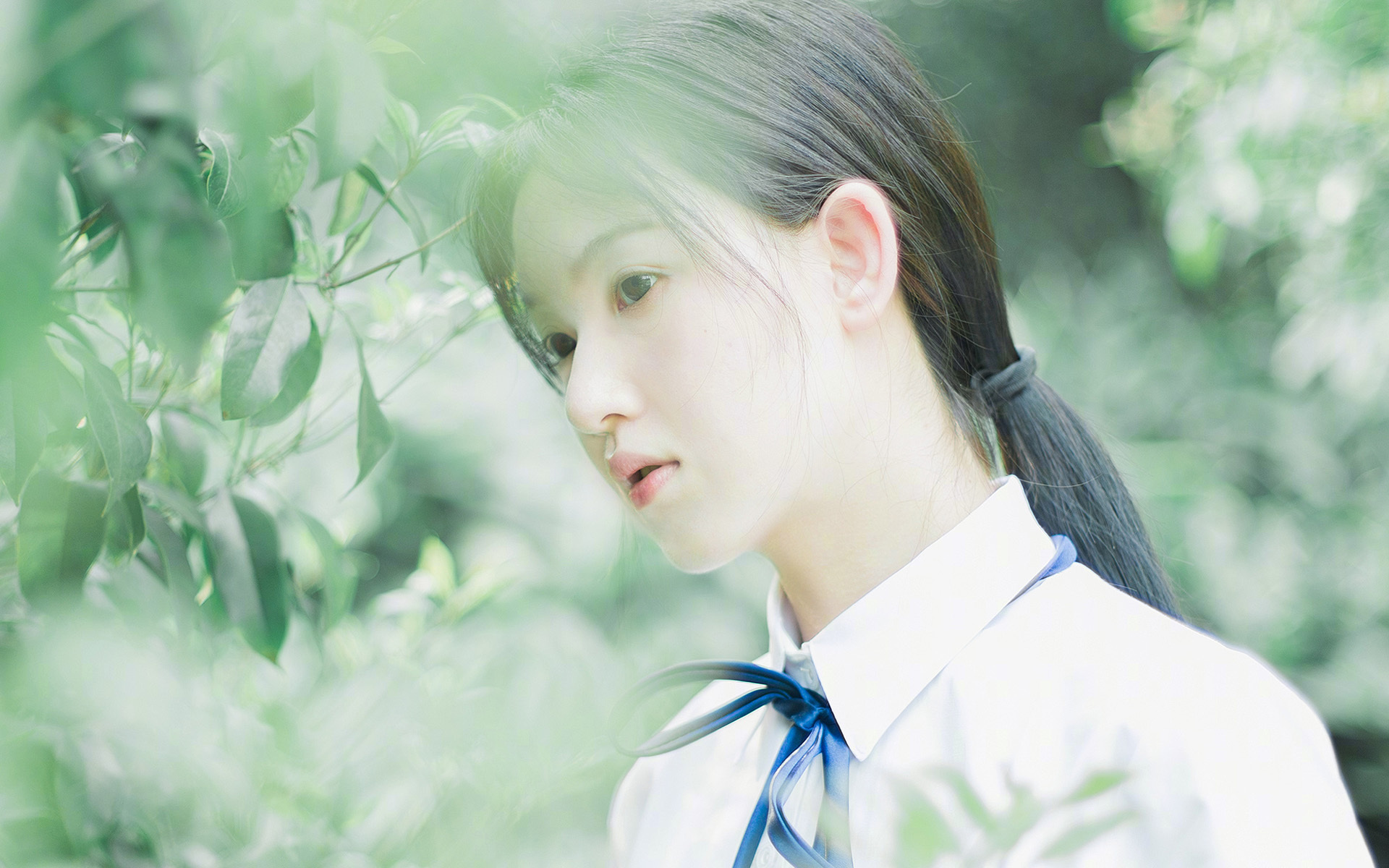 郁金香战争,罗德里爆发的夜晚与牙买加足球的加勒比飓风