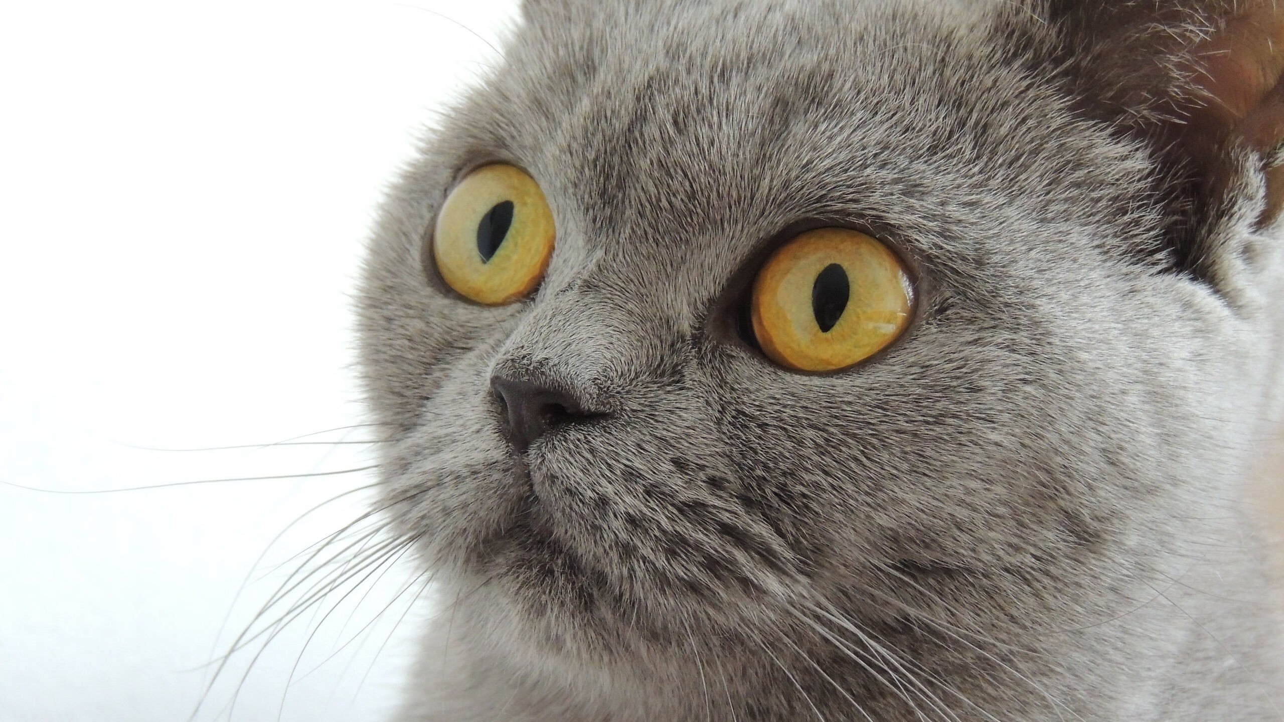 开云平台-向豪门索要自我的入场券，李刚仁的救赎与皇马的险胜