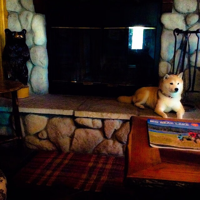 孙兴慜一锤定音,比利时掀翻德国战车的不对称胜利