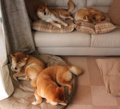 开云体育平台APP-NBA总决赛之夜，哈登无奈见证，足球巨星哈弗茨竟成全场焦点