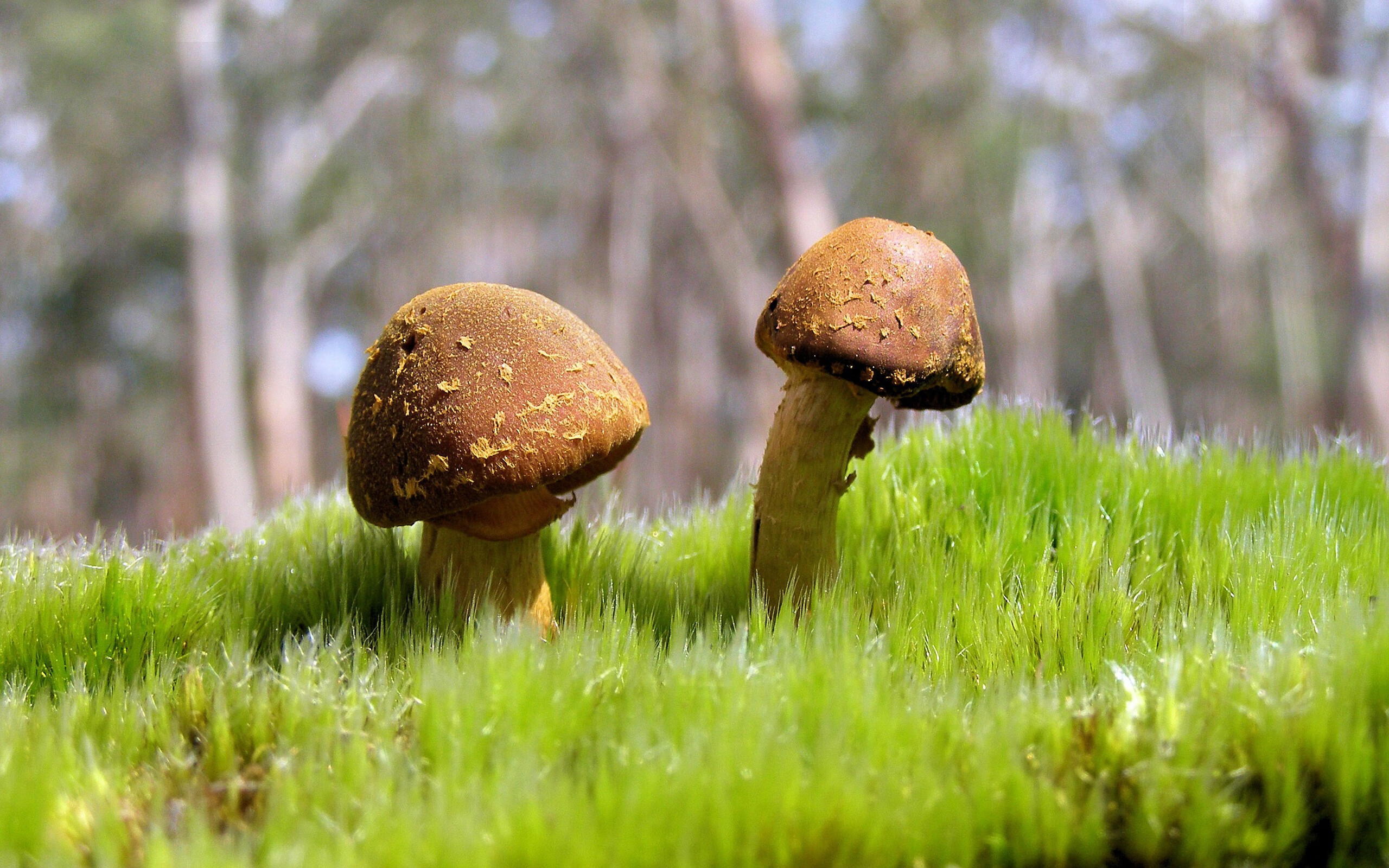 开云体育-足球盛宴，毕尔巴鄂打穿智利，姆巴佩成为全场焦点