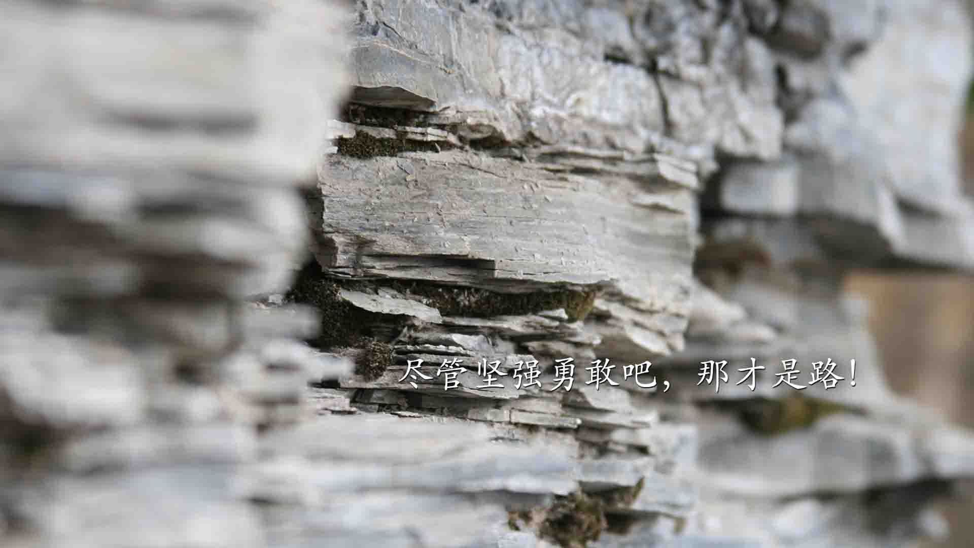 开云下载-F1新赛季揭幕战之夜，巴尔韦德如何诠释硬仗之王？