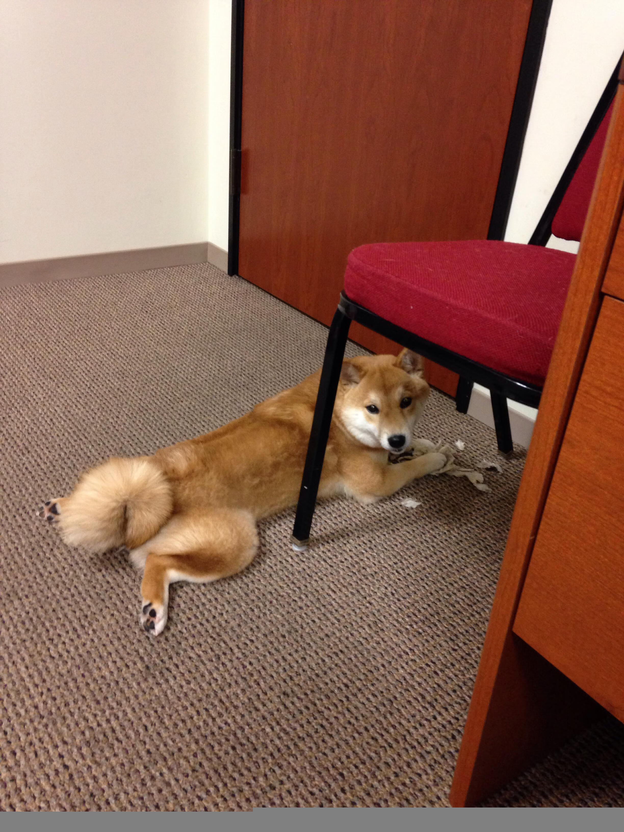 开云下载-绿茵场上的无形高墙，久保建英的爆发与尼日利亚的跨境足球