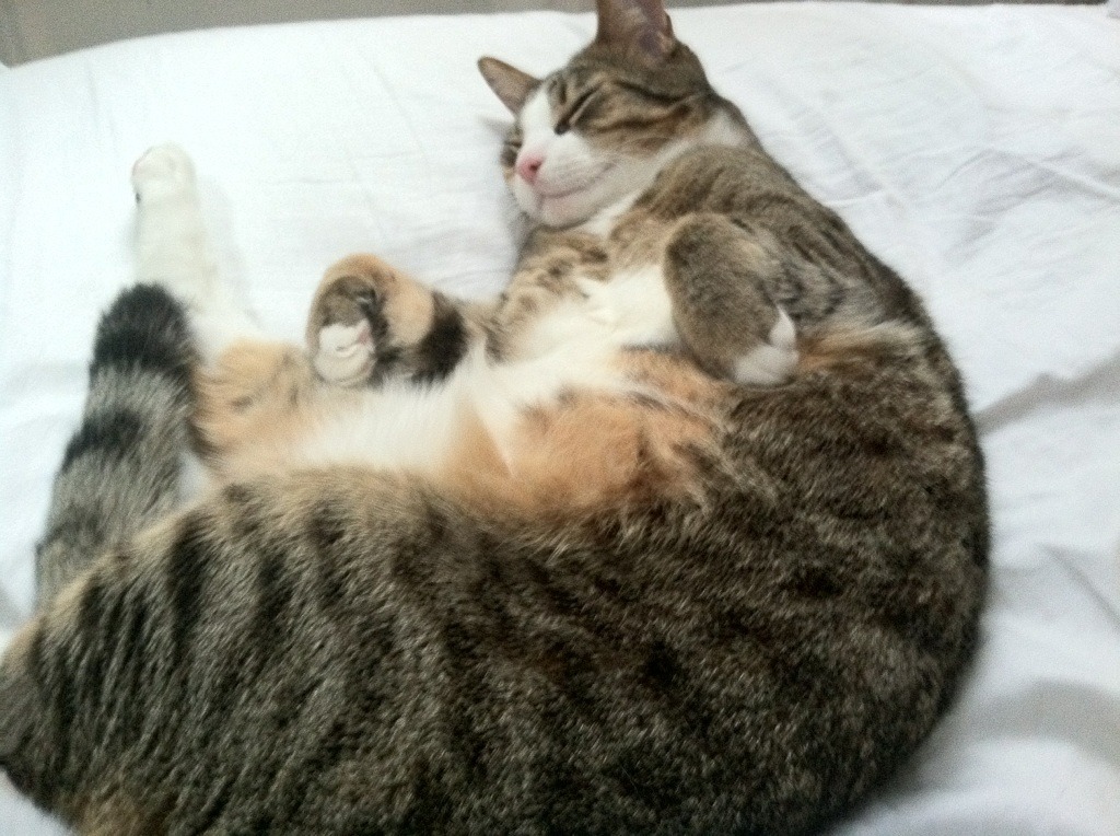 惊蛰惊魂，孙兴慜三声霹雳，劈开2026世界杯之夜