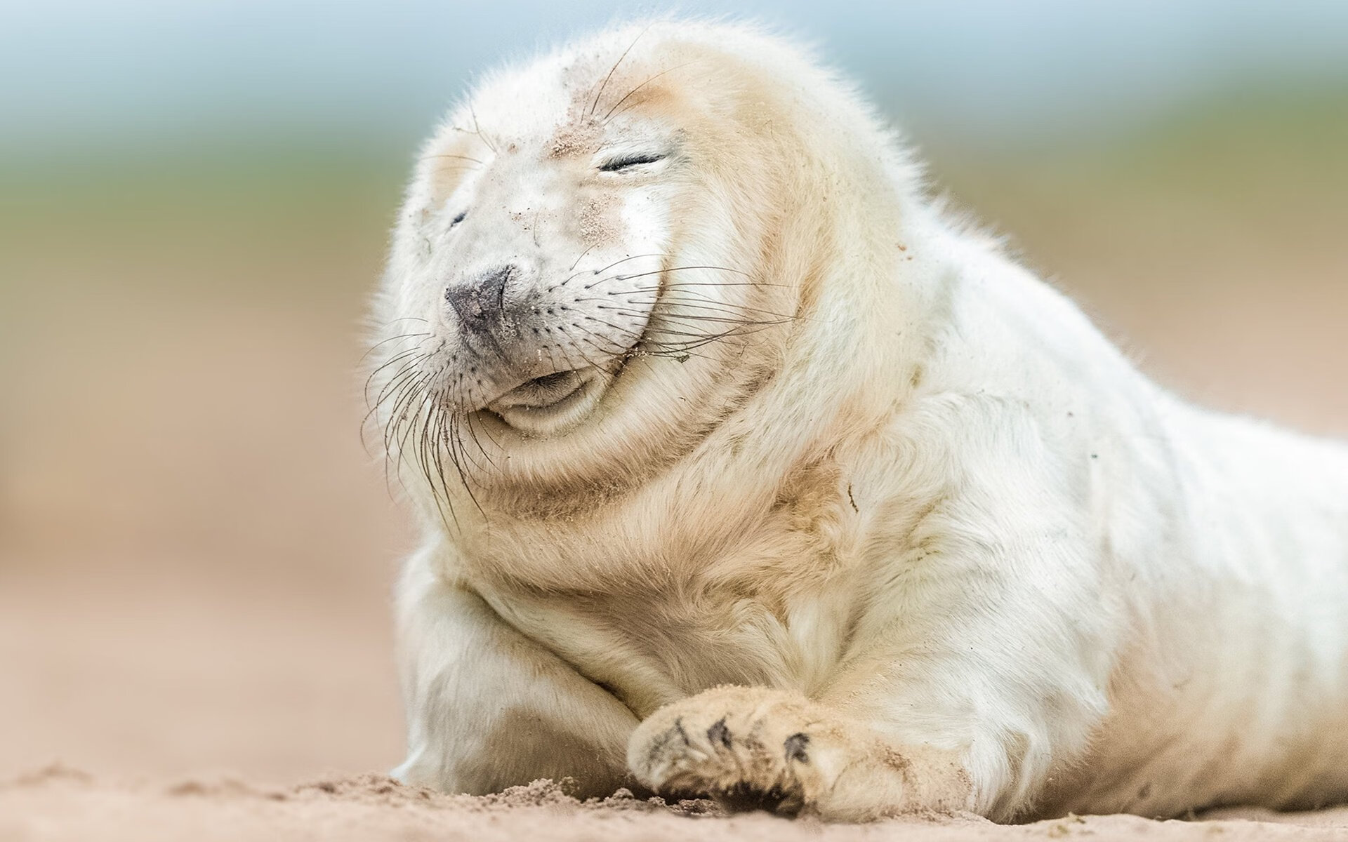 西甲国家德比之夜，哈登为何稳定输出不掉线才是竞技体育的真正德比？