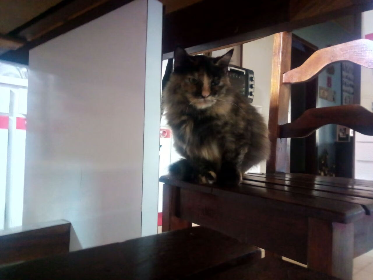 孤星与战阵，当姆巴佩一锤定音，丹麦用团队铁律完成压制