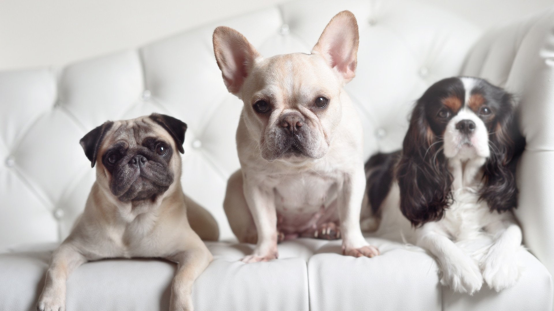 努涅斯里程碑与拉齐奥的战术碾压，个体闪耀与团队压制的双重奏