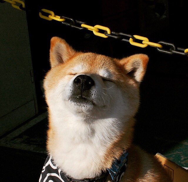 五棵松见证，当北京篮球的倔强点燃了锡安的火焰