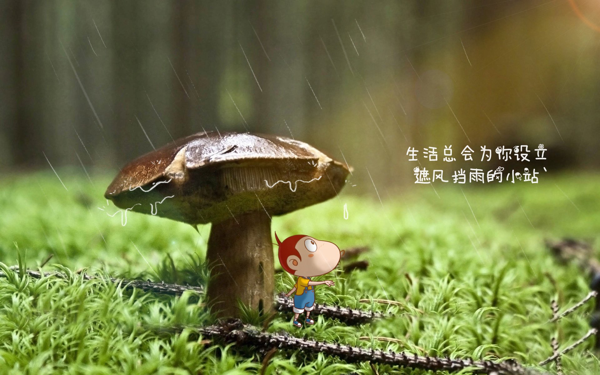 开云下载-亚平宁的铁壁，当意大利式防反在2026世界杯上刺穿太极虎的心脏